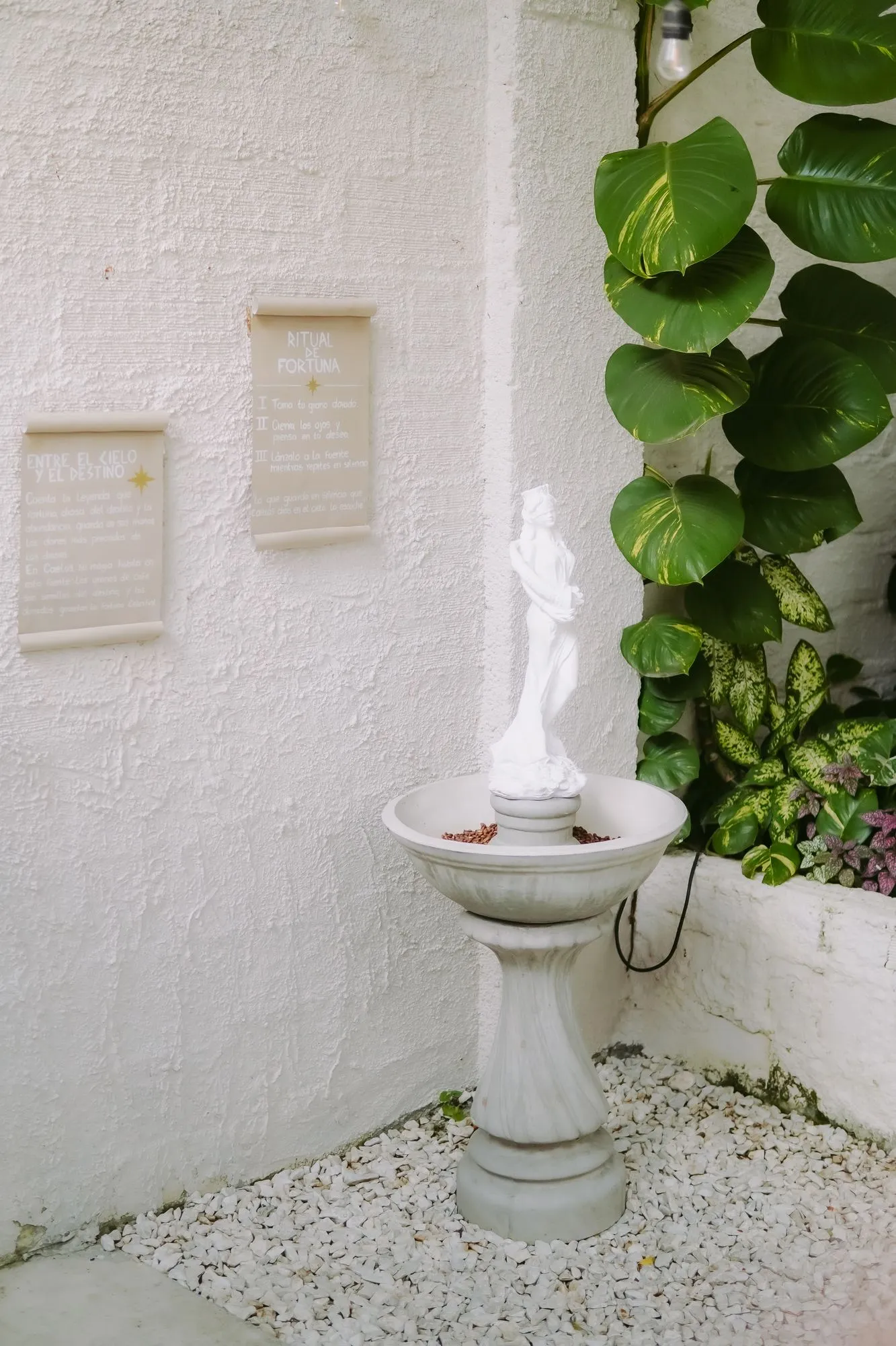 Fuente de piedra con una estatua, entre plantas trepadoras y gravilla blanca, en el patio externo de CAELUS